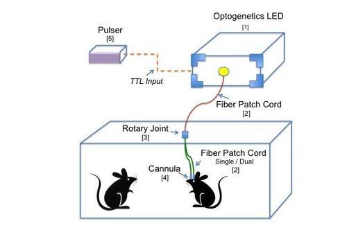 Optogenetics Toolbox